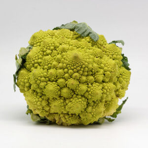 BRÒQUIL ROMANESCU - Unitat